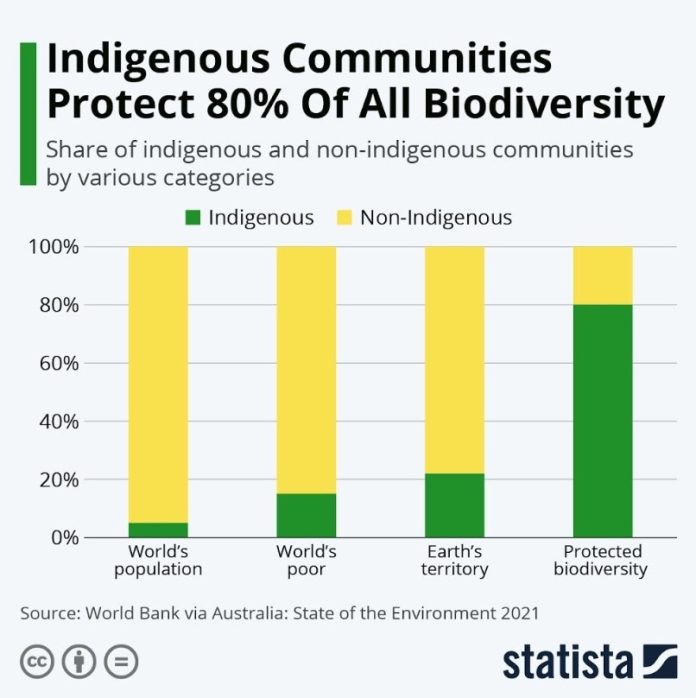 5 Ways Indigenous People Are Protecting The Planet - The Planetary Press